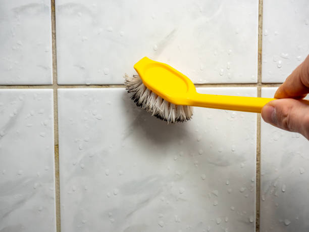 Best Commercial Mold Remediation in Normandy Park, WA