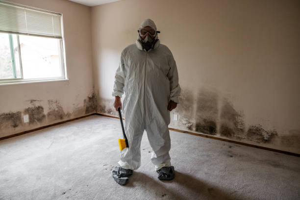 Trusted Normandy Park, WA Mold Remediation Experts